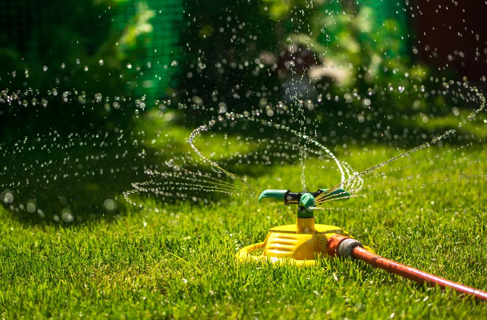 An automatic sprinkler on a lawn, spraying the garden with water.